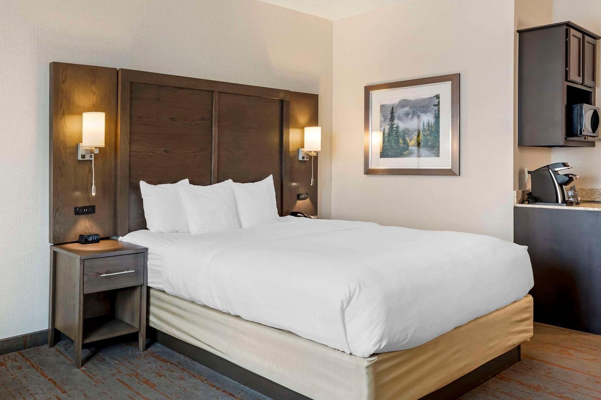 Comfort Inn & Suites Brighton Denver Ne Medical Center Extérieur photo